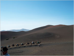 Un paseo en camello